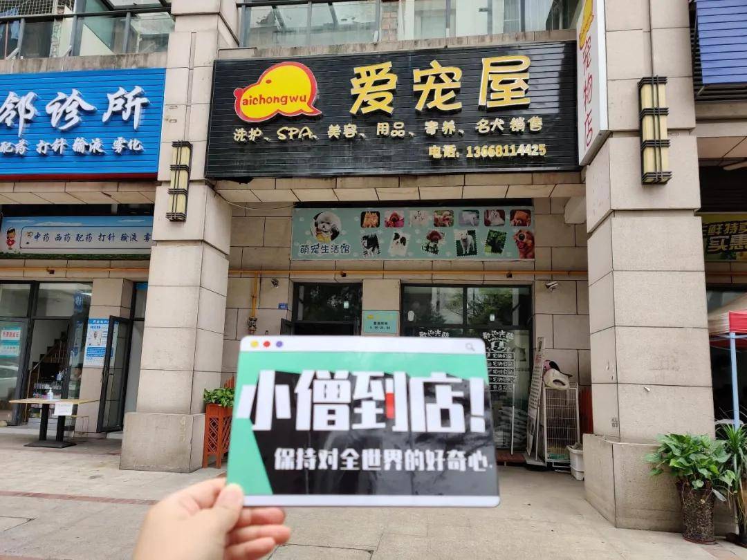 类似宠物店的男人们_闲鱼coco宠物店的男人们_我的宠物店男人们