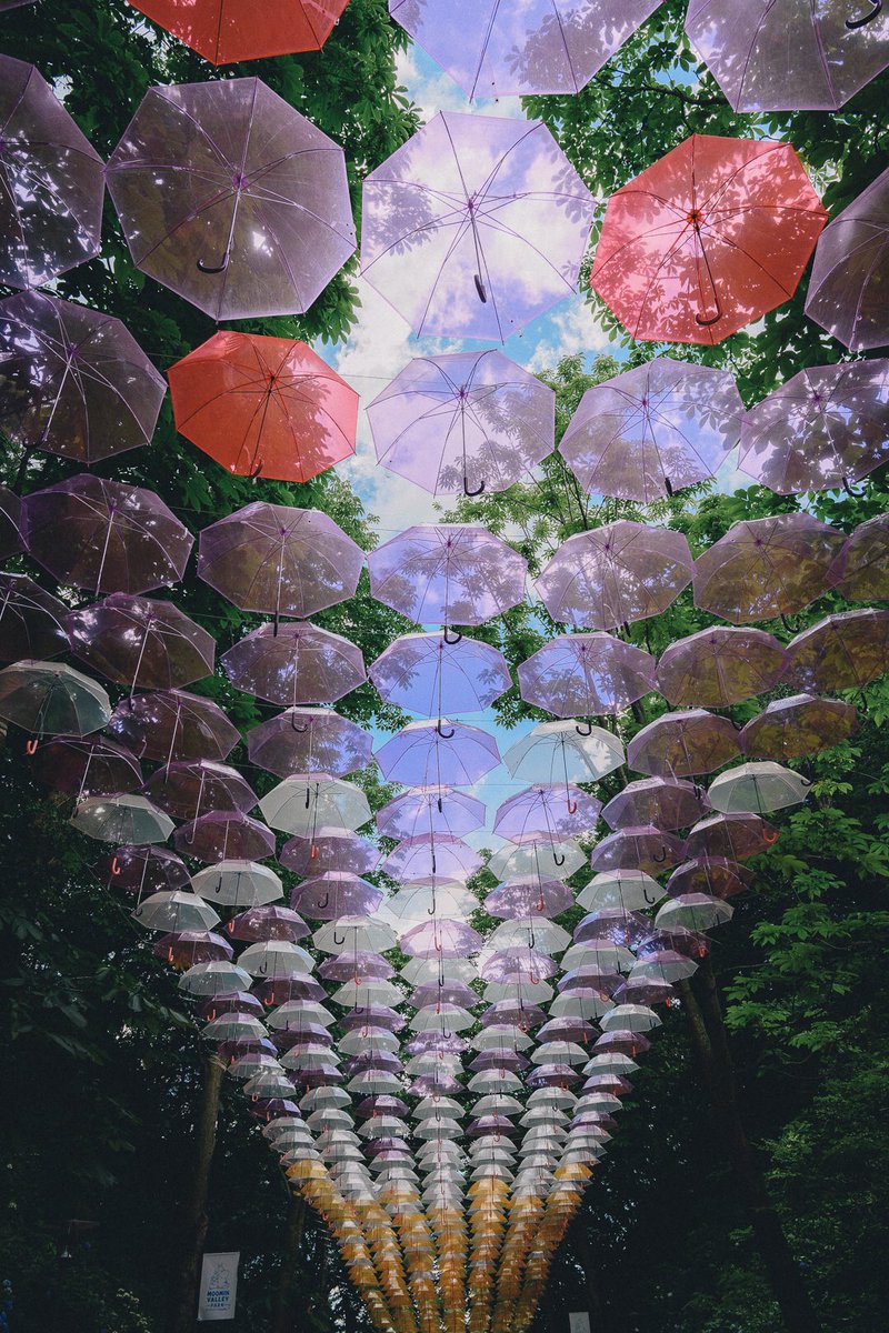 梦幻奇缘冬日主题馆_梦幻水族馆6_梦幻馆全集