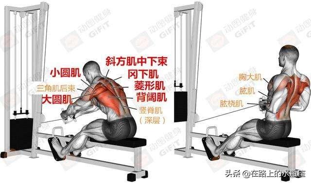 强壮的后背怎么做_背部壮实_后背太壮了怎么办