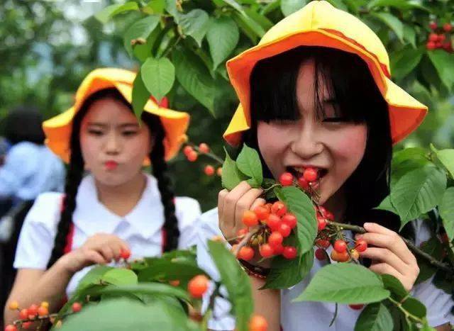 樱桃视频成人appi_樱桃视频成人appi_樱桃视频成人appi