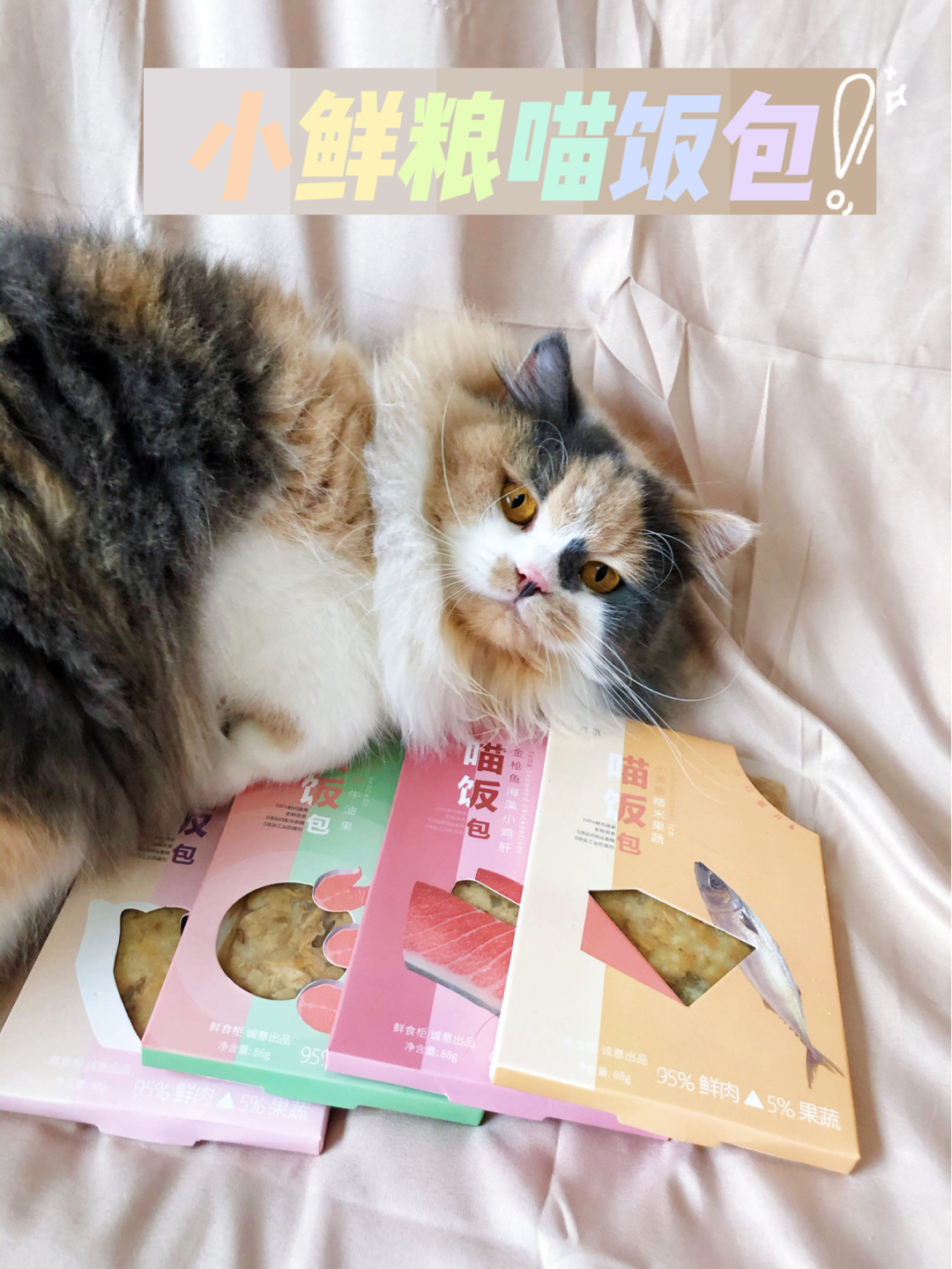 编号订单有什么用_订单编号sh_订单编号