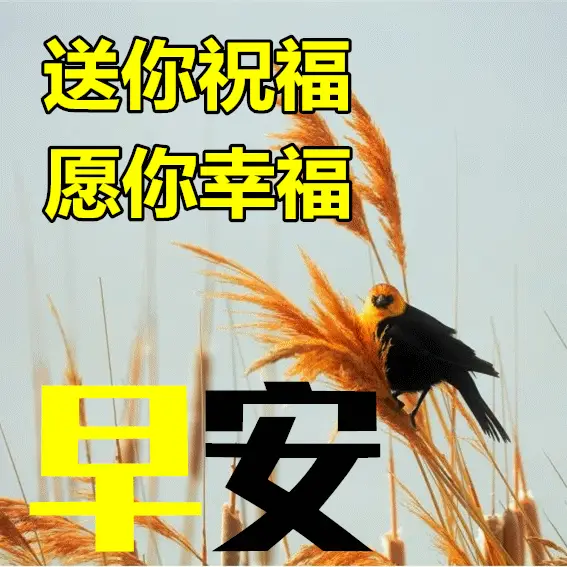 金吒_金吒的师傅是谁_金吒木吒