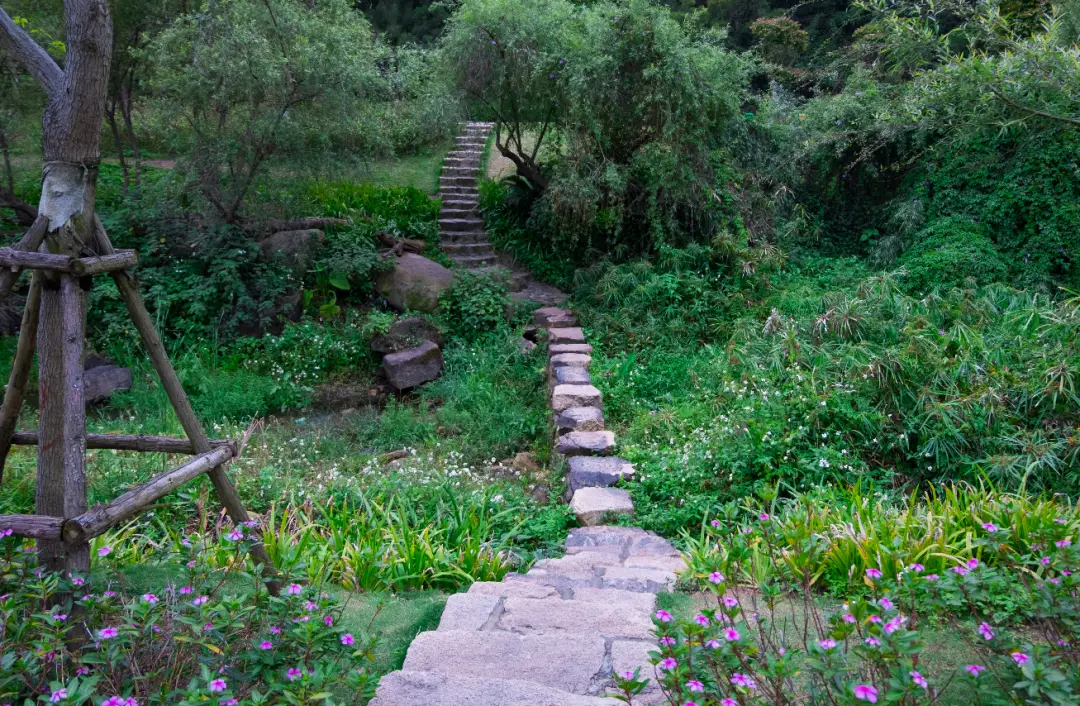 针妙丸小碗_针妙丸恨正邪吗_少名针妙丸
