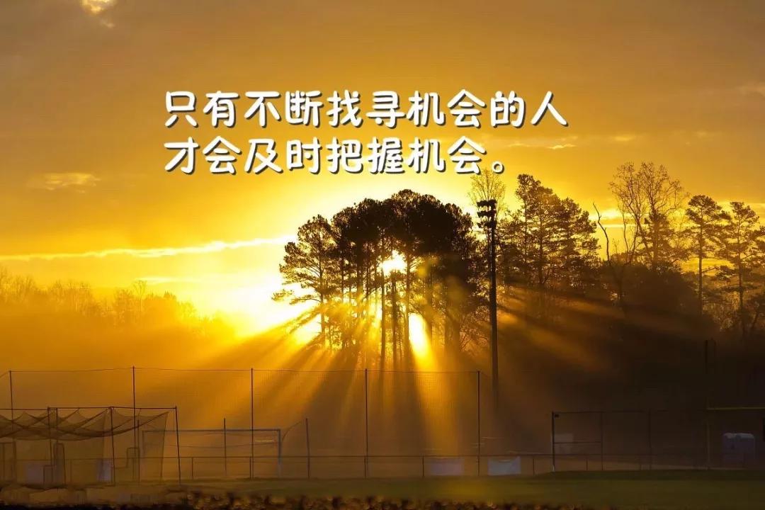 伊路米·揍敌客_伊米尔揍敌客_伊路米·揍敌客
