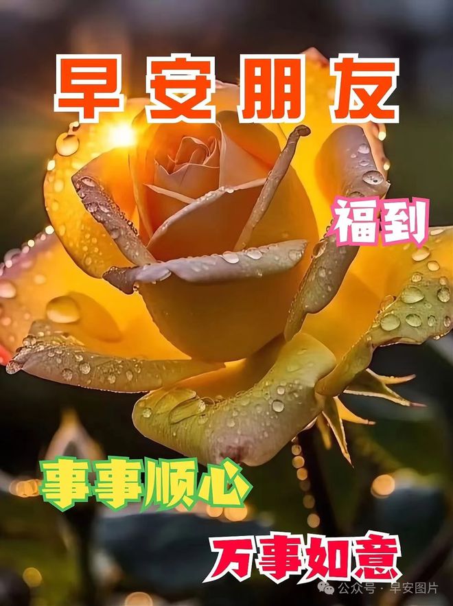 基因检测_基辛格_阿基