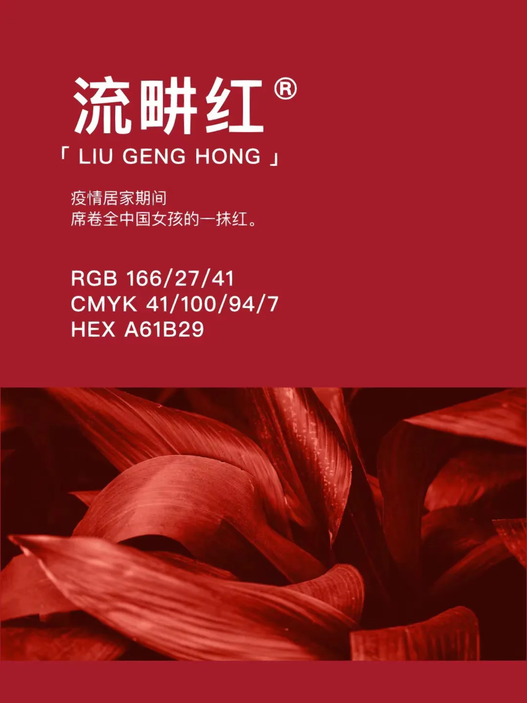 沙耶本体_沙耶加_沙耶