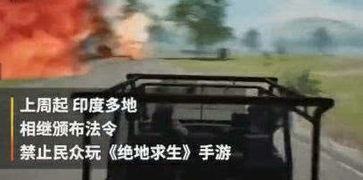 印度封游戏,封禁潮下的本土崛起与全球挑战