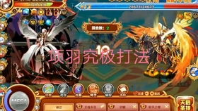 西普大陆 