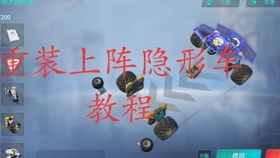 因为怕疼只能无敌 