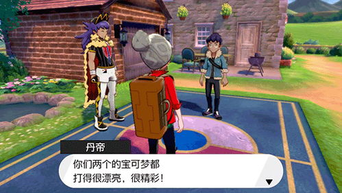 宝可梦剑盾游戏下载,下载开启奇幻征途